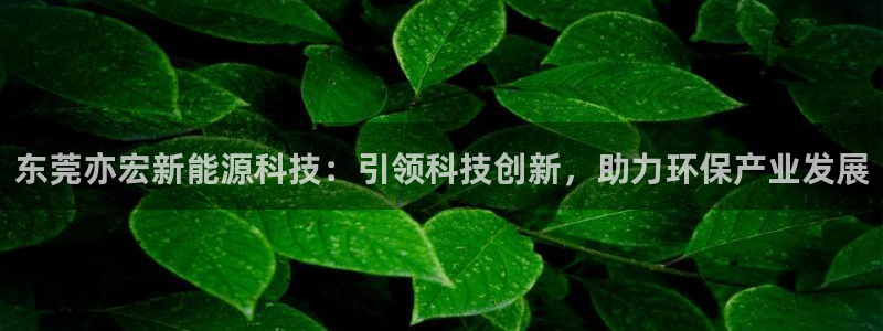 sunbet线上真人手机版