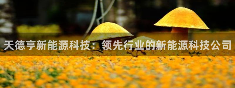 sunbet申搏官网