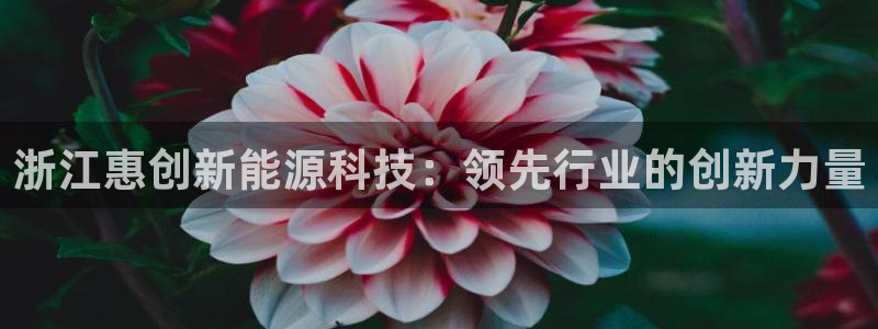 sunbet申搏地址