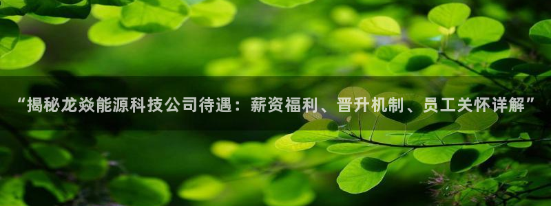 sunbet手机app版