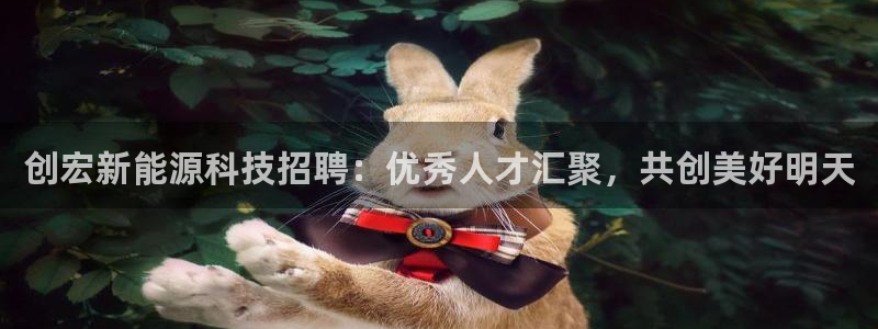 sunbet源码