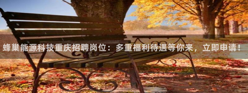 sunbet安卓下载