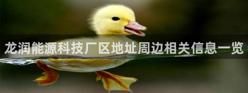 sunbet游戏官网