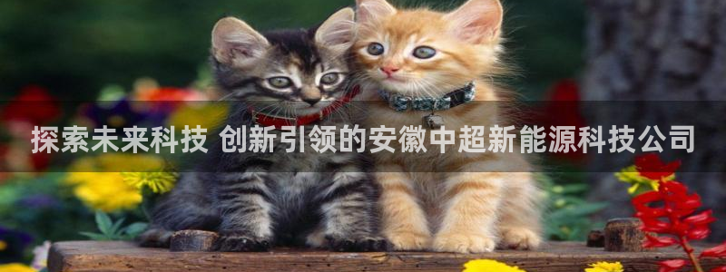申博视讯