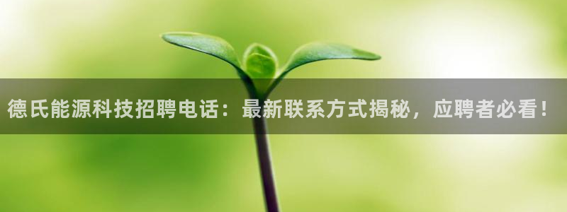 sunbet苹果app