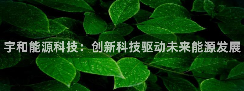 sunbet手机网页版本