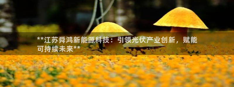 sunbet官网登录首页