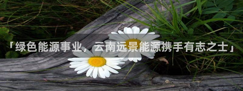 sunbet手机网页版