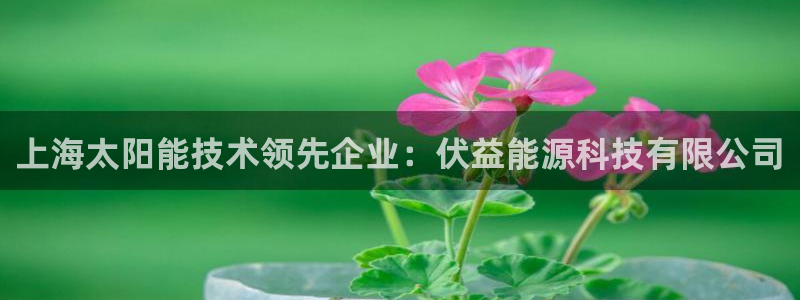 sunbet官网app首页