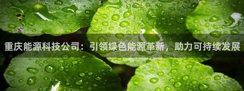 sunbet最新登陆