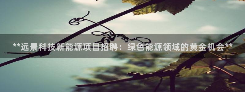 sunbething怎么读