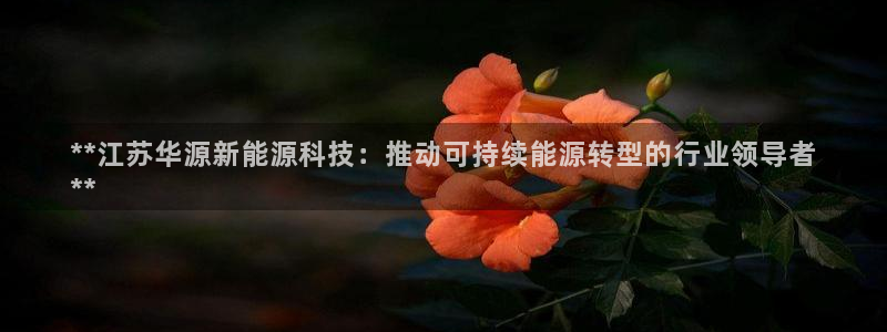 sunbet申搏app下载