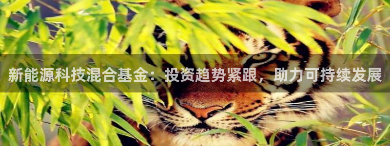 申博官网手机客户端