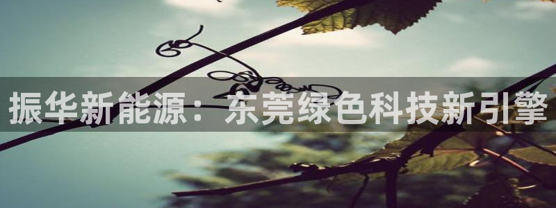sunbet手机app版