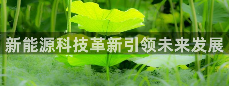 sunbet申搏地址