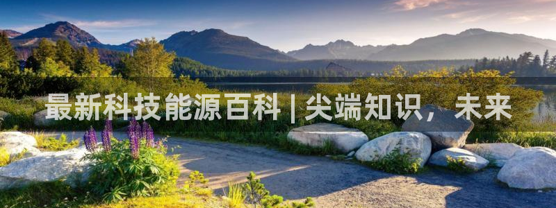 申慱sunbet网站