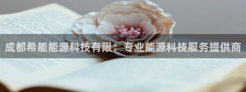 sunbet中文