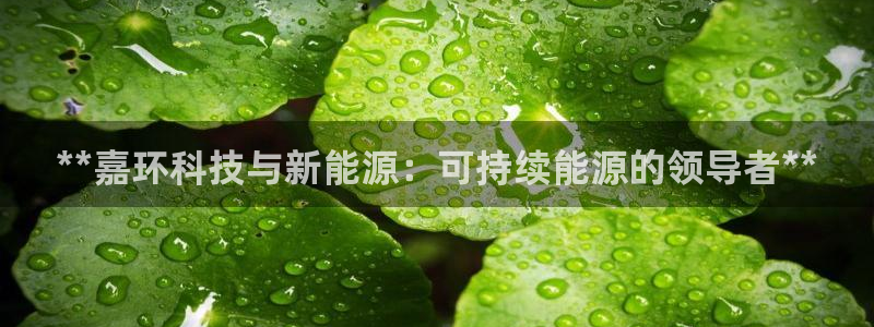 sunbet官网代理下载