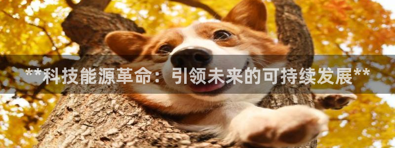 sunbet申搏平台