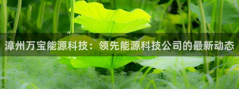 sunbet首页登录入口
