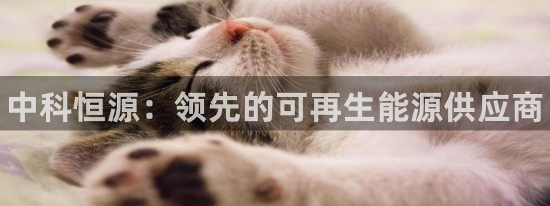 申慱sunbet版app