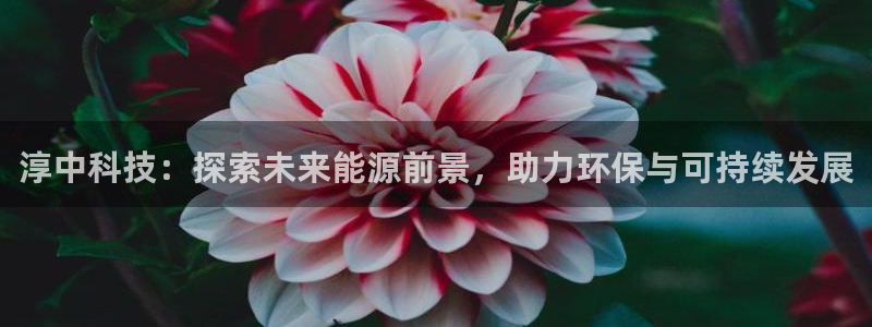 sunbet游戏最新版