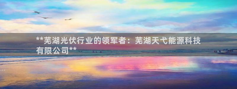 sunbet安卓下载