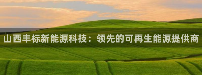 申博官网手机版下载app