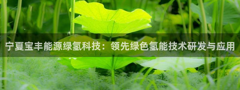 sunbet手机版官网下载