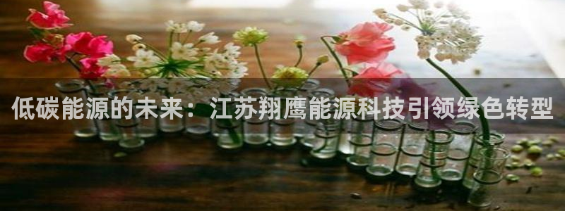 sunbet首页登录入口