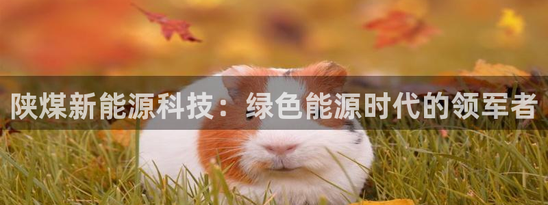 sunbet游戏