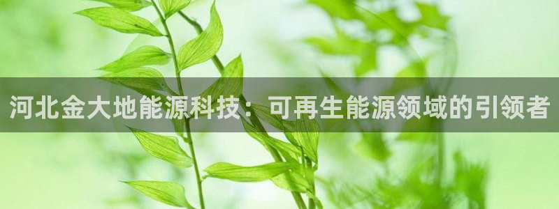 sunbet申搏官网
