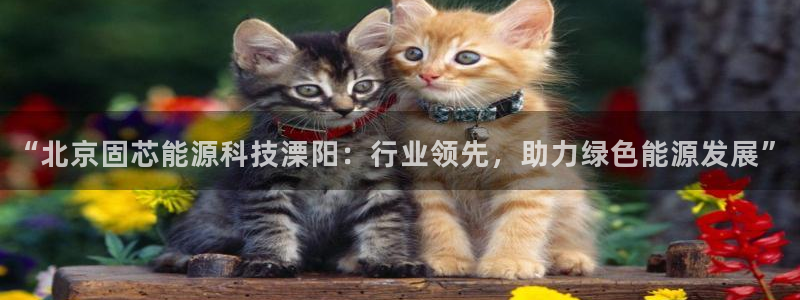 sunbet源码