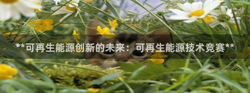 sunbet安卓下载