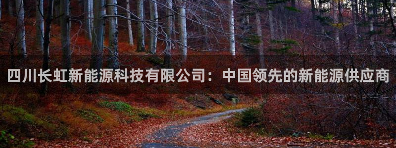 sunbet英语翻译