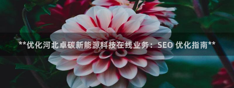 sunbet手机版官网下载