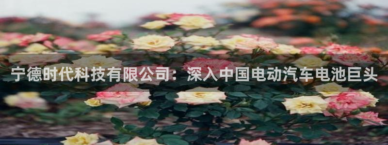 sunbet游戏最新版