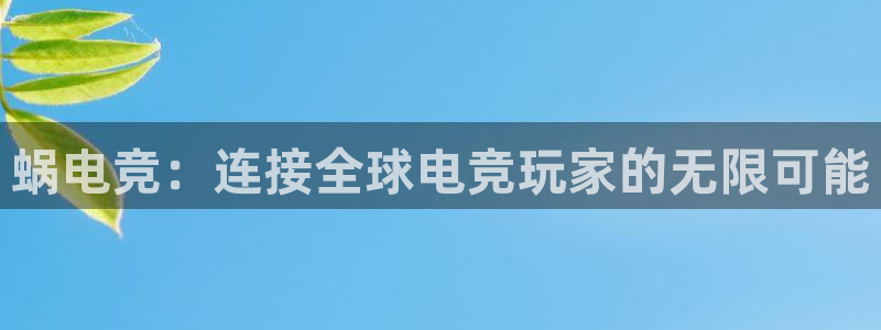 小艾电竞网页版登录：蜗电竞：连接全球电竞玩家的无限可能