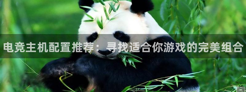 小艾电竞app：电竞主机配置推荐：寻找适合你游戏的完美组合