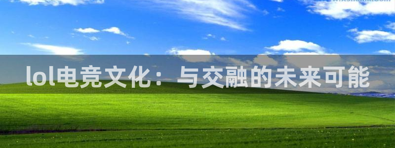 小艾电竞：lol电竞文化：与交融的未来可能
