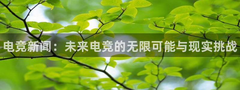 小艾电竞app下载官网：电竞新闻：未来电竞的无限可能与现实挑战